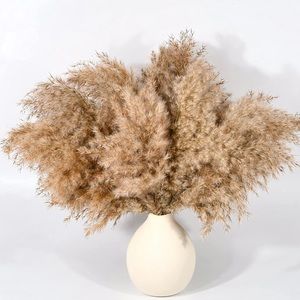 New Box of Pampas Grass